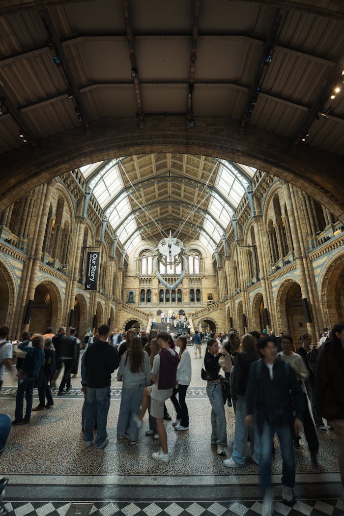 Pexels Photo 34522427