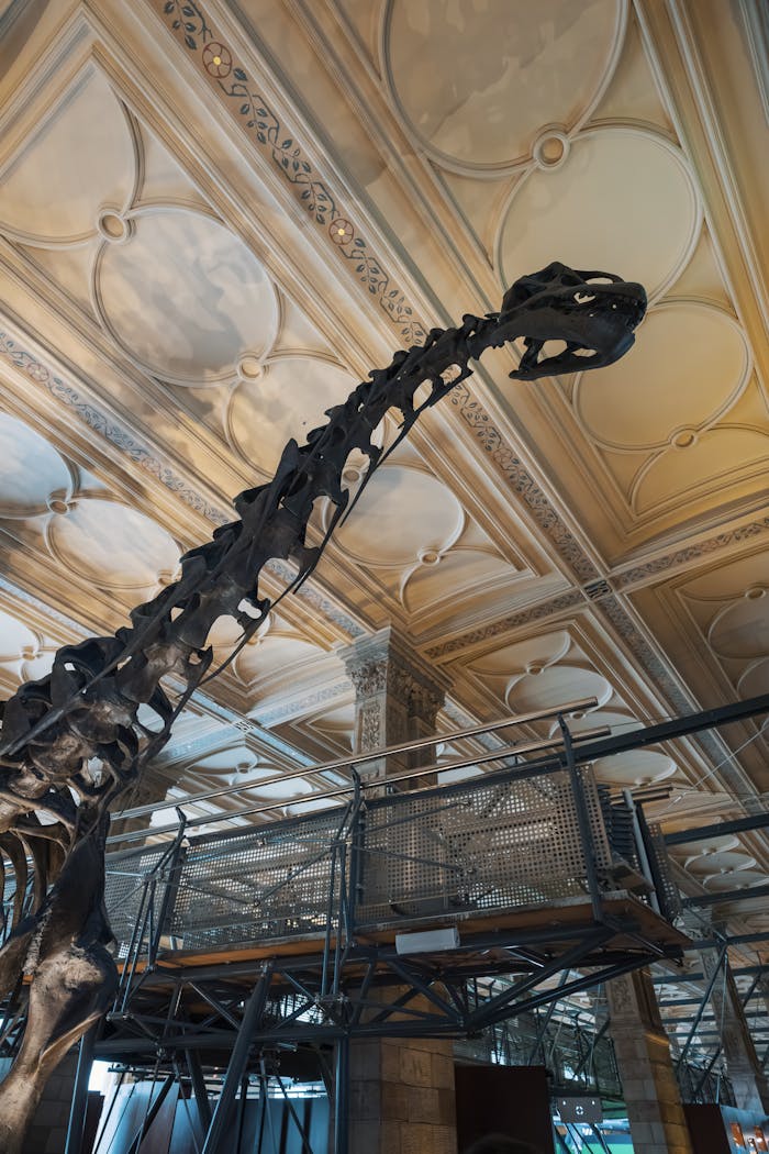 Pexels Photo 34522436